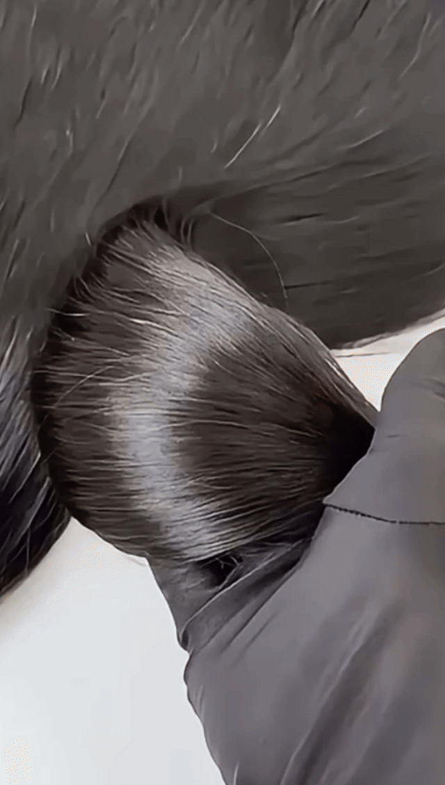 🌺 100% RAW Vietnamese Hair Single Bundle | Super Double Drawn